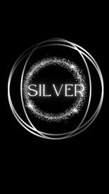 Silver Sponsors ($200 for Members / $250 for Non-Members)