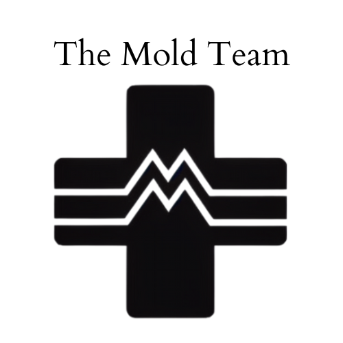 The Mold Team